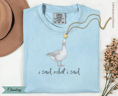 Light blue Comfort Colors t-shirt with goose graphic and "i said what i said" text.