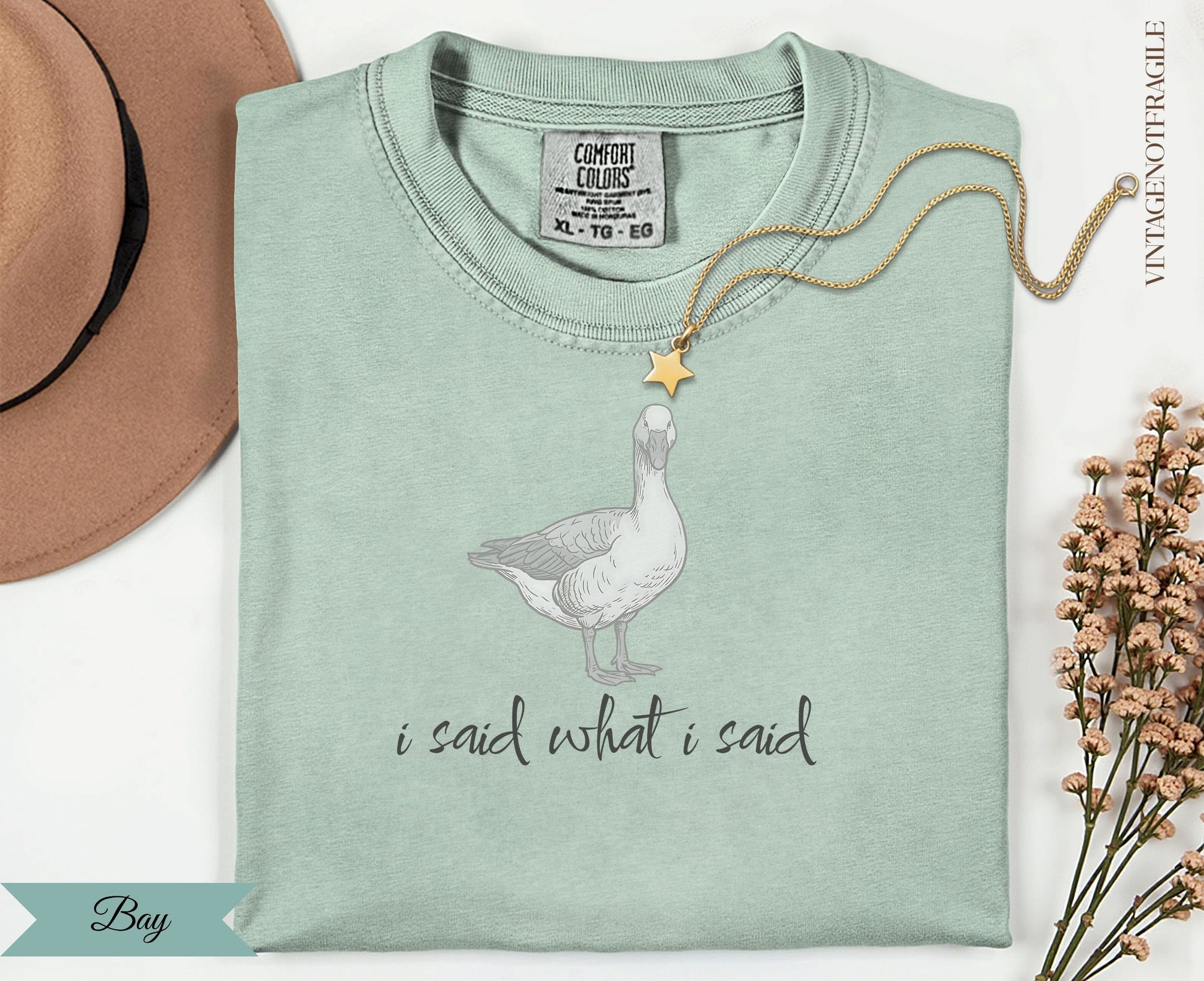 Light sage t-shirt with goose graphic and text "i said what i said".