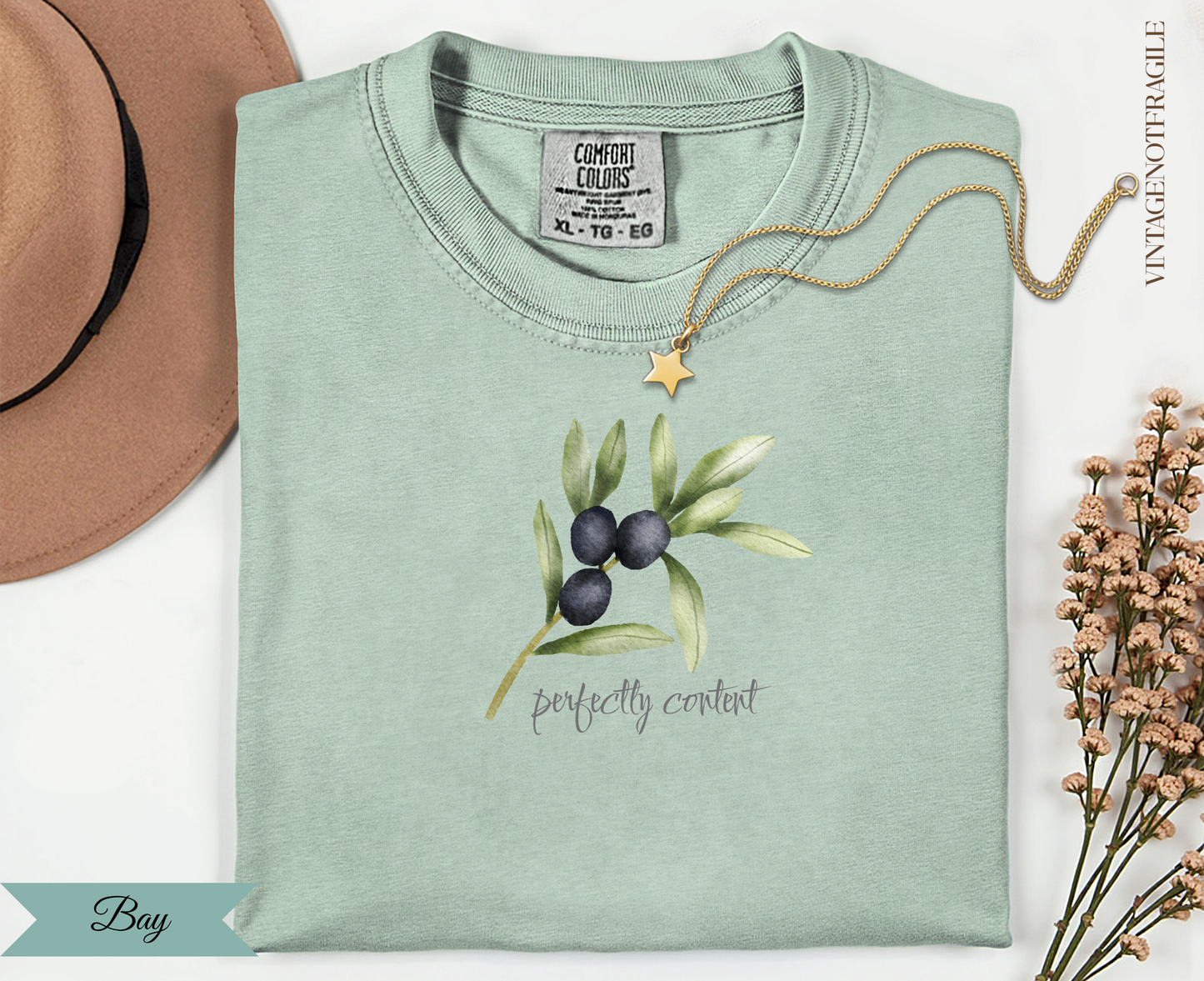 Mint green t-shirt with olive branch illustration and "perfectly content" text.