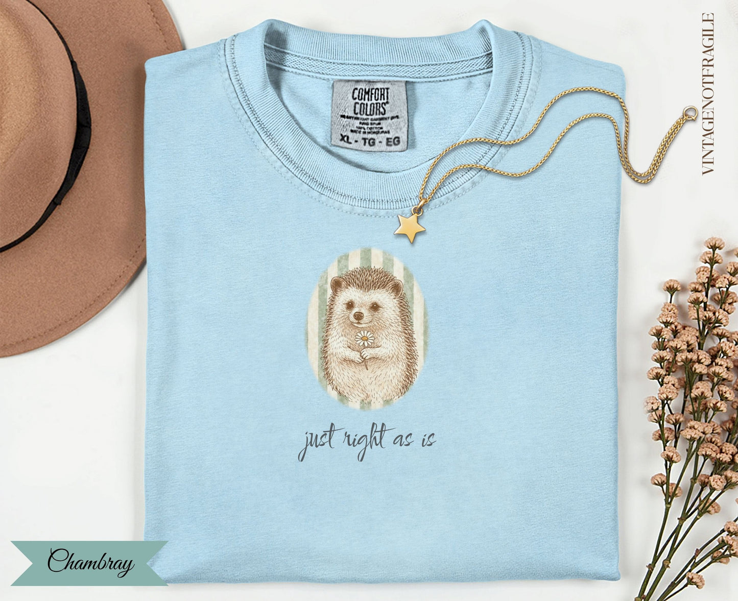 Light blue t-shirt with a hedgehog holding a daisy, "just right as is" text.