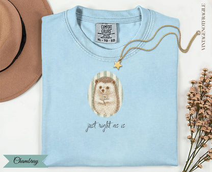 Light blue t-shirt with a hedgehog holding a daisy, "just right as is" text.