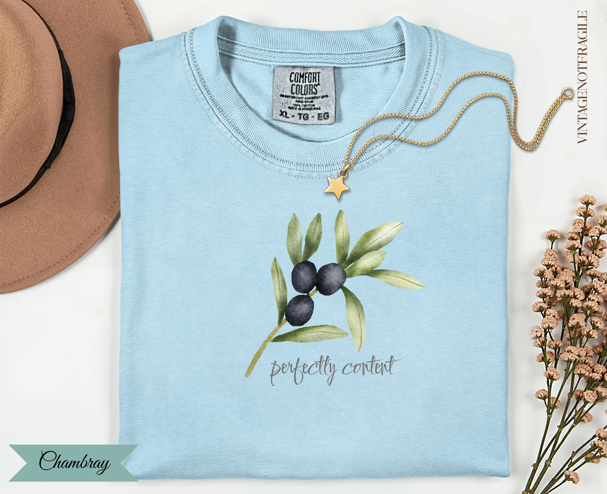 Light blue t-shirt with olive branch graphic and "Perfectly content" text.