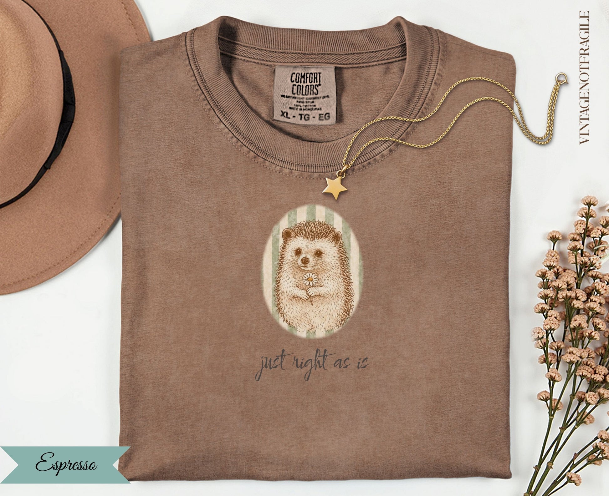 Brown t-shirt with hedgehog and flower graphic, "just right as is" text.