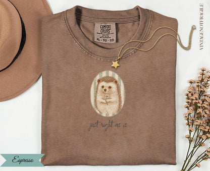 Brown t-shirt with hedgehog and flower graphic, "just right as is" text.