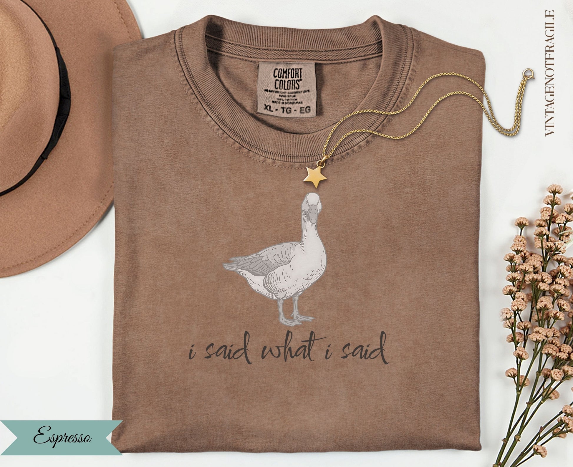Brown t-shirt with goose graphic and "i said what i said" text.