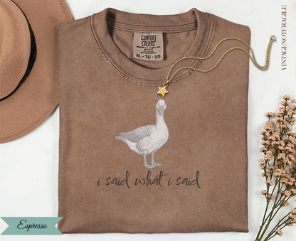 Brown t-shirt with goose graphic and "i said what i said" text.